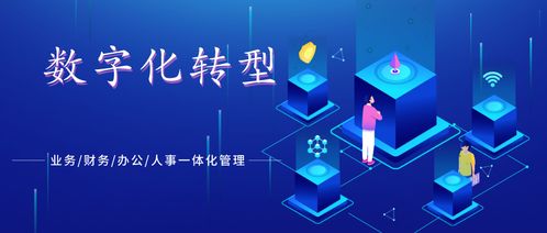 协同办公与数字文创 数字化转型管理软件概览